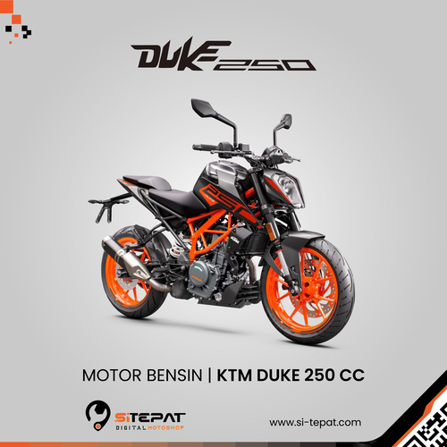 ktm duke 250 hp